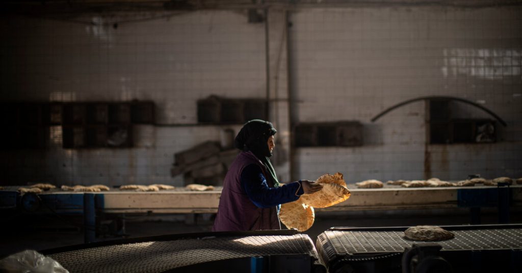 Ukrayna savaşının neden olduğu ticaret engelleri gıda fiyatlarını artırdı