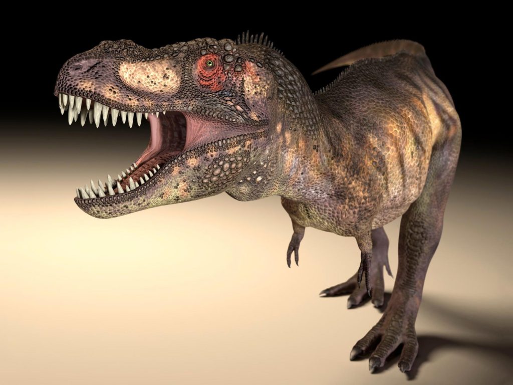 T. rex gibi büyük yırtıcı dinozorlar, daha güçlü ısırıklara izin vermek için farklı göz yuvası şekilleri geliştirdiler.