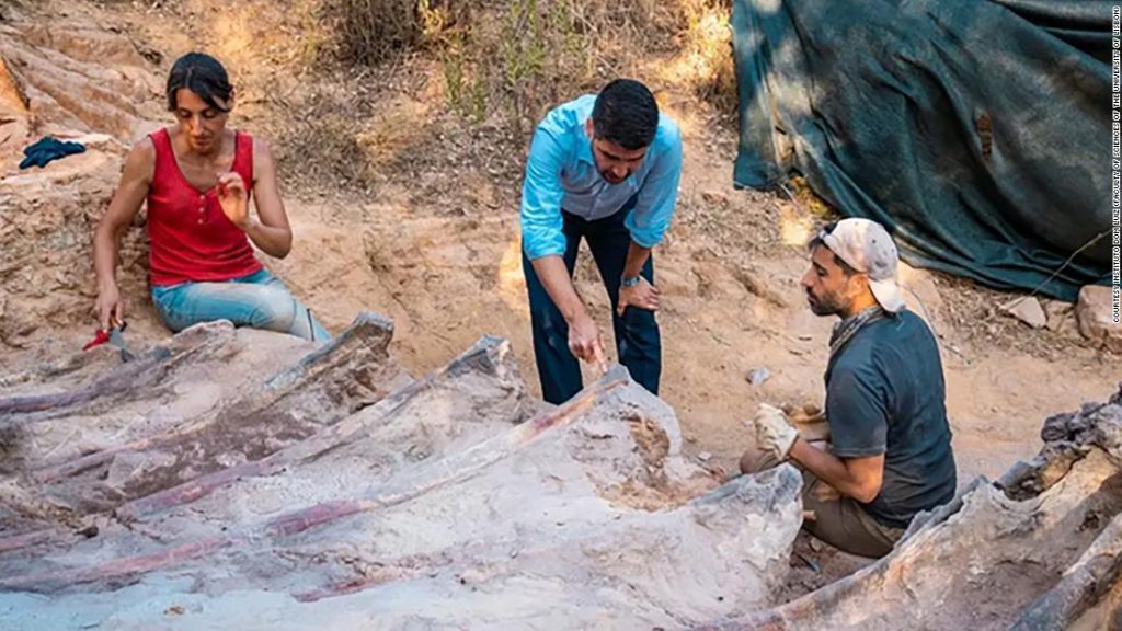 Portekiz’in arka bahçesinde bir dinozor kafesini keşfedin