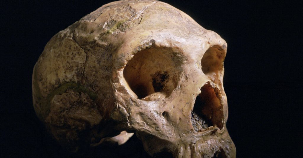 Beyninizi bir Neandertalden farklı kılan nedir?